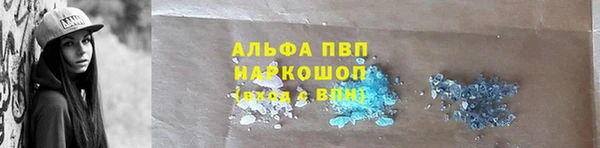 прущие крисы Белокуриха