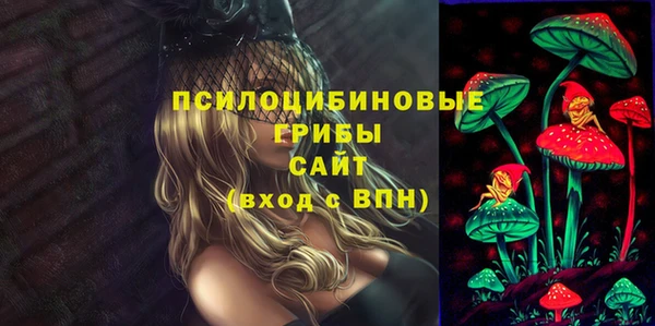 прущие крисы Белокуриха